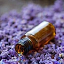 Flacone di olio essenziale di lavanda su un letto di petali di lavanda, con una goccia d'olio visibile.